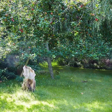 11817-nykobing-sj-solystgardsvej-16 *